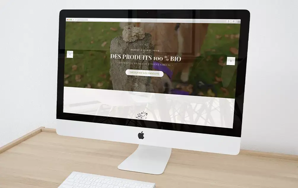 Développement de site e-commerce - Agence Display None Communication Bordeaux